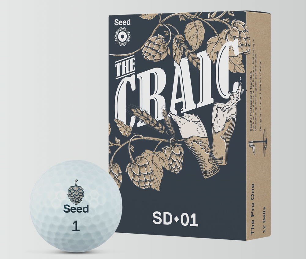 SD-01 The Craic